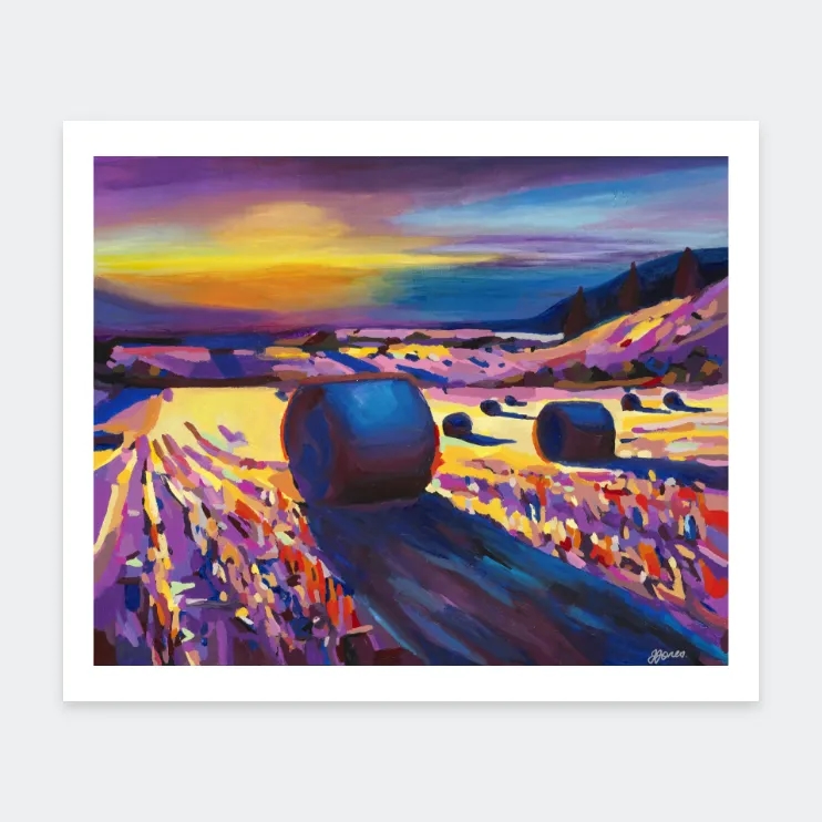 Shipping and Returns