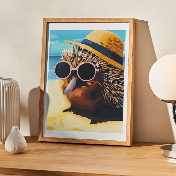 Echidna at the Beach